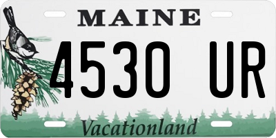 ME license plate 4530UR