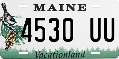 ME license plate 4530UU