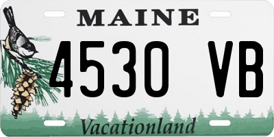 ME license plate 4530VB