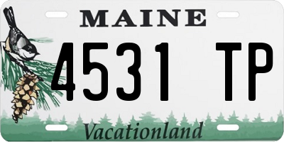 ME license plate 4531TP