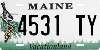 ME license plate 4531TY