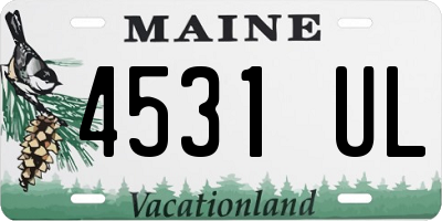 ME license plate 4531UL
