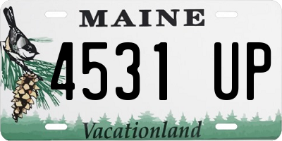 ME license plate 4531UP