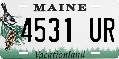 ME license plate 4531UR