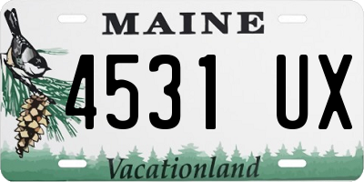 ME license plate 4531UX