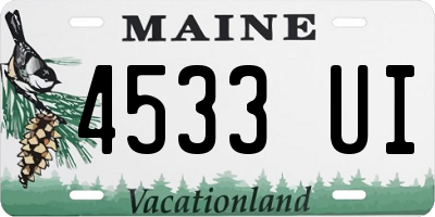 ME license plate 4533UI