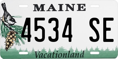 ME license plate 4534SE