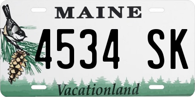ME license plate 4534SK
