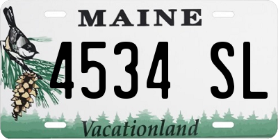 ME license plate 4534SL