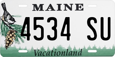 ME license plate 4534SU