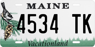 ME license plate 4534TK