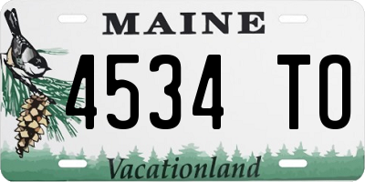 ME license plate 4534TO