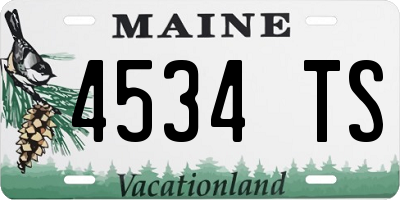 ME license plate 4534TS