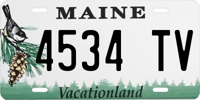 ME license plate 4534TV