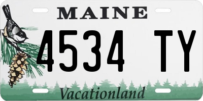 ME license plate 4534TY