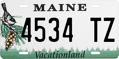 ME license plate 4534TZ