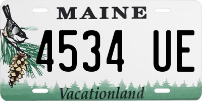 ME license plate 4534UE