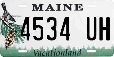 ME license plate 4534UH