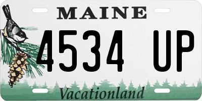 ME license plate 4534UP