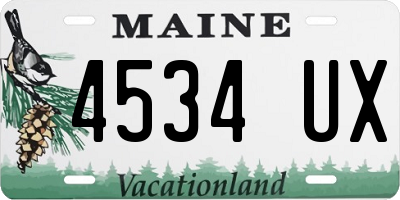 ME license plate 4534UX