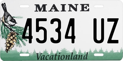 ME license plate 4534UZ