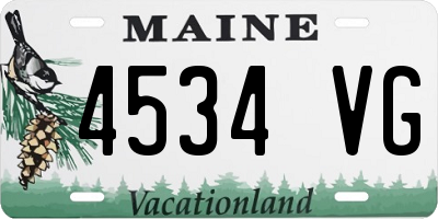 ME license plate 4534VG