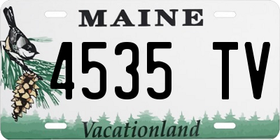 ME license plate 4535TV
