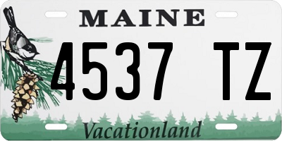 ME license plate 4537TZ