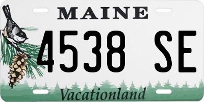 ME license plate 4538SE