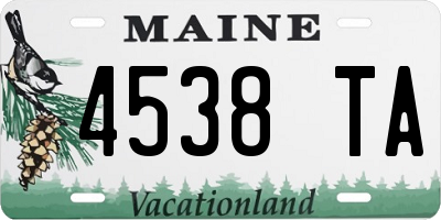 ME license plate 4538TA