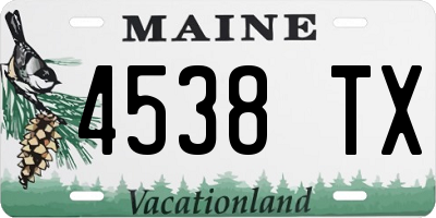 ME license plate 4538TX