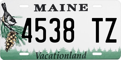 ME license plate 4538TZ