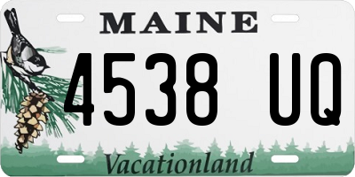 ME license plate 4538UQ