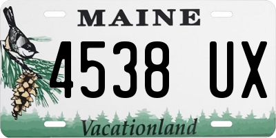 ME license plate 4538UX