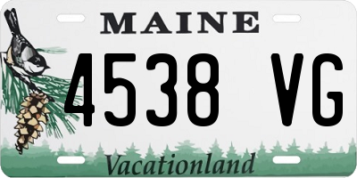 ME license plate 4538VG