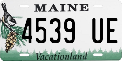 ME license plate 4539UE