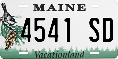 ME license plate 4541SD