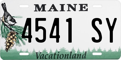 ME license plate 4541SY