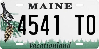 ME license plate 4541TO