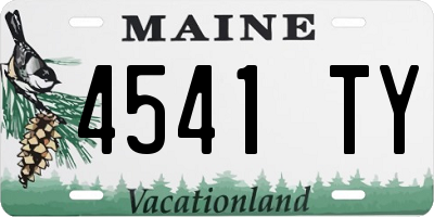 ME license plate 4541TY