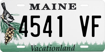 ME license plate 4541VF