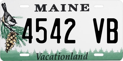 ME license plate 4542VB