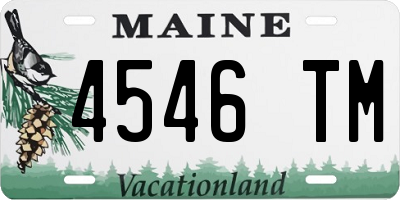 ME license plate 4546TM