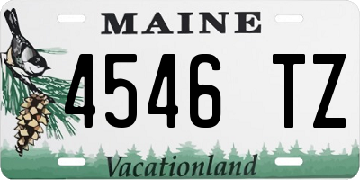 ME license plate 4546TZ