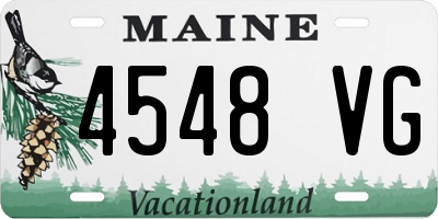 ME license plate 4548VG