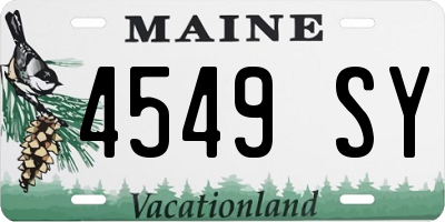 ME license plate 4549SY