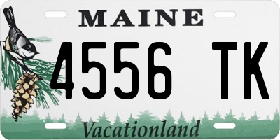 ME license plate 4556TK