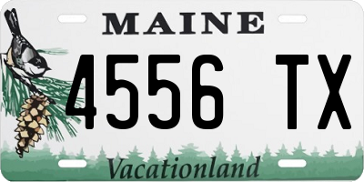 ME license plate 4556TX