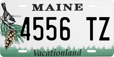 ME license plate 4556TZ