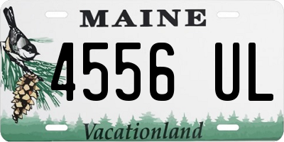 ME license plate 4556UL